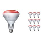 Lot 10x Philips BR125 E27 Réflecteur 250W | Infrared
