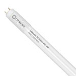Ledvance LED Buis T8 Value (UN) High Output 18W 2000lm - 865 Daglicht | 120cm - Vervangt 36W